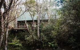 Rockwood Karkloof Forest Lodge & Mountain Cabin